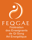 logo FEQGAE
